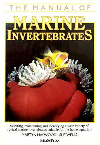 Wells, Sue The Manual of Marine Invertebrates