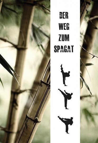 Maier, Artjom Der Weg zum Spagat
