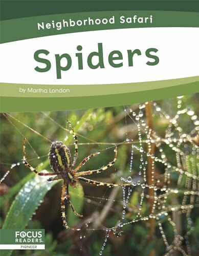 London, Martha Spiders (Neighborhood Safari)