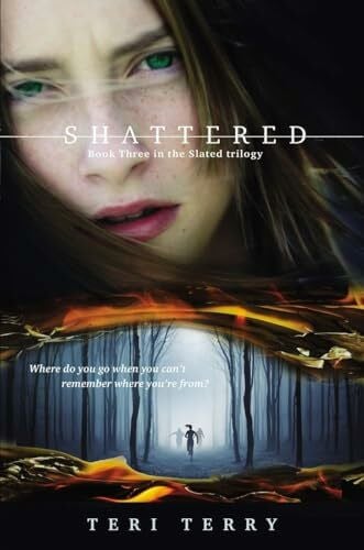 Terry, Teri Shattered (Slated Trilogy, Band 3)