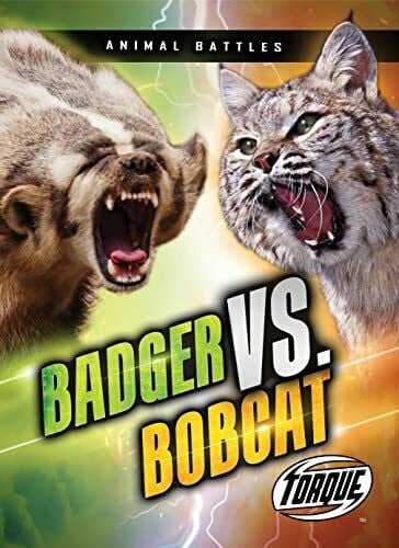 Downs, Kieran Badger Vs. Bobcat (Animal Battles)