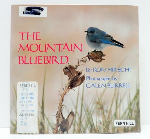 Hirschi, Ron The Mountain Bluebird