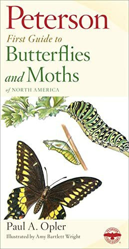 Bartlett Wright, Amy Peterson First Guide to Butterflies and Moths