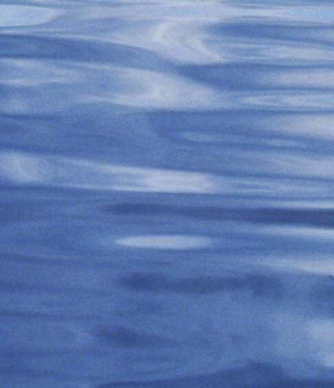 Britton, Nicholas F. Reaction-Diffusion Equations and Their Applications to Biology