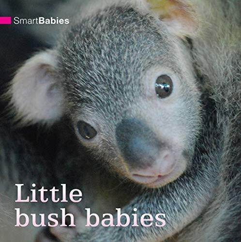 Black Dog Books Smart Babies: Little Bush Babies
