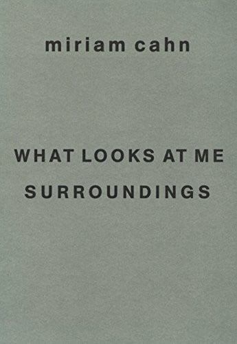 What looks at me. Surroundings. Miriam Cahns Texte in Englisch