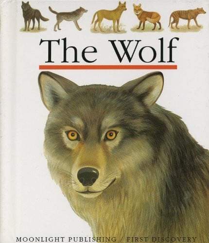 Bour, Laura The Wolf (First Discovery, Band 53)