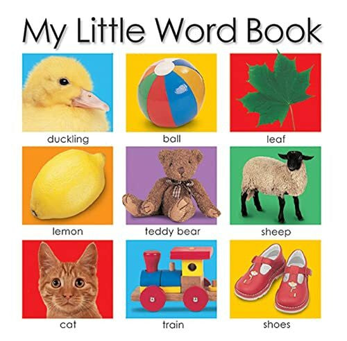 Priddy, Roger My Little Word Book
