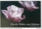 Durchs Wahre zum Schönen: Johann Wolfgang von Goethe. Bildkartenbuch mit 24 ausgewählten Top- Motiven