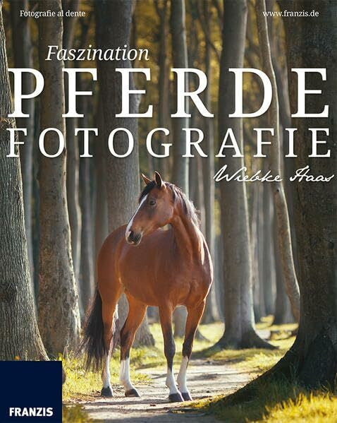Haas, Wiebke Faszination Pferdefotografie: So machen Sie die Liebe zum Tier für andere Menschen sichtbar - Fotografie al dente