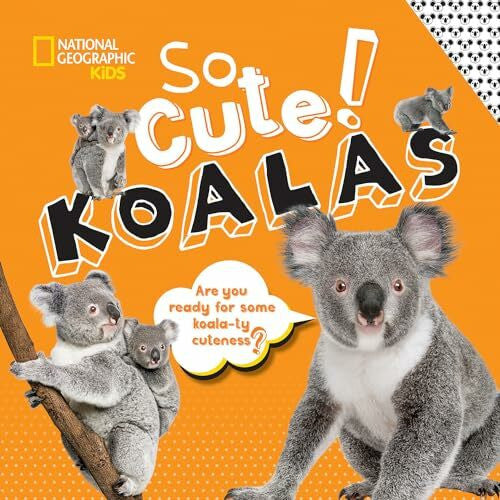 Boyer, Crispin So Cute! Koalas (So Cool/So Cute)
