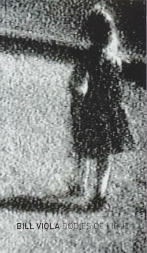 Bill Viola: Bodies of Light