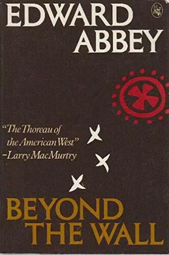 Beyond the Wall: Essays from the Outside