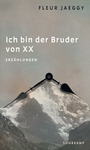 Schaden, Barbara Ich bin der Bruder von XX: Erzählungen | Die internationale Neuentdeckung einer großen Autorin
