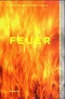 Feuer: Elemente des Naturhaushalts II