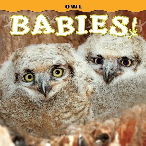 Lehmann, Steph Owl Babies! (Babies! (Farcountry Press))