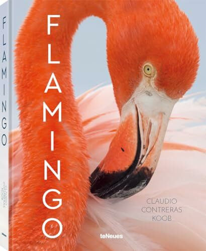 Contreras Koob, Claudio Flamingo
