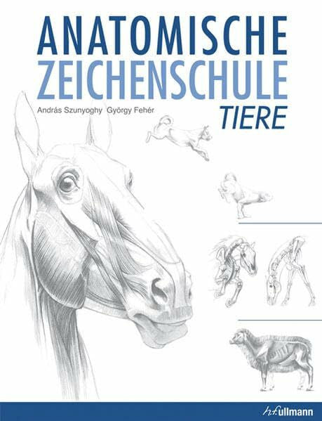 Feher, György Harry Potter - Anatomische Zeichenschule Tier: Lernressource, Buch