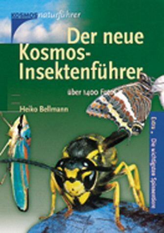 Bellmann, Heiko Der neue Kosmos-Insektenführer: Extra: Die wichtigsten Spinnentiere