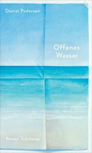 Langendörfer, Hannes Offenes Wasser: Roman | Eine poetische und berührende Erzählung vom Anfang und Ende des Lebens