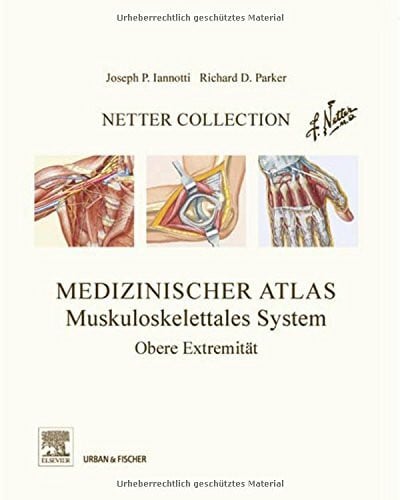 Iannotti Netter Collection Muskuloskelettales System Band 1: Obere Extremität