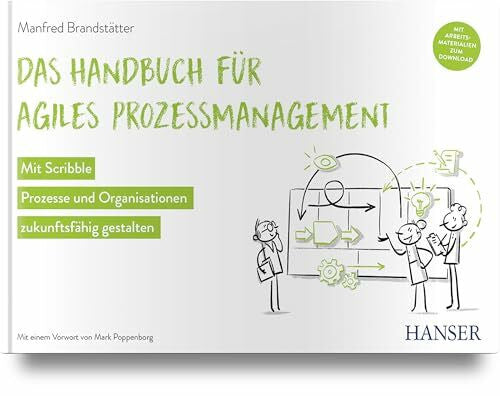 Brandstätter, Manfred Das Handbuch für agiles Prozessmanagement: Mit Scribble Prozesse und Organisationen zukunftsfähig gestalten