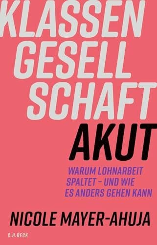 Mayer-Ahuja, Nicole Klassengesellschaft akut: Warum Lohnarbeit spaltet - und wie es anders gehen kann