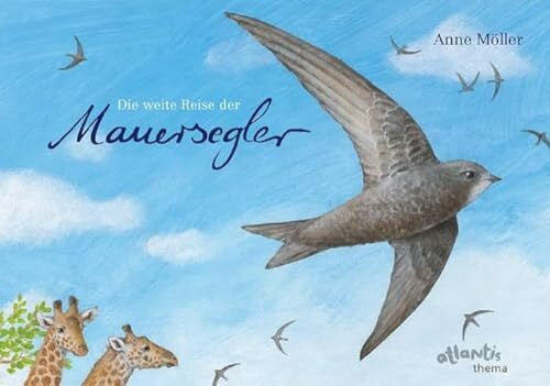 Möller, Anne Die weite Reise der Mauersegler (Atlantis Thema Bücher)