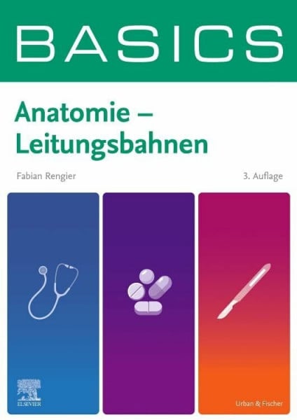 Rengier, Fabian BASICS Anatomie - Leitungsbahnen