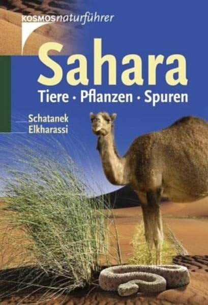 Hocine Elkharassi Sahara: Tiere, Pflanzen, Spuren