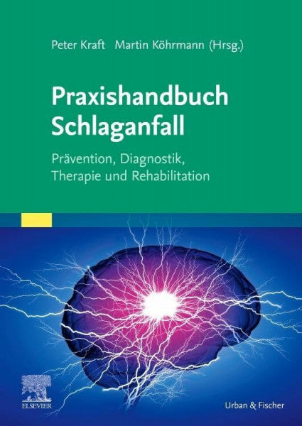 Köhrmann, Martin Praxishandbuch Schlaganfall: Prävention, Diagnostik, Therapie und Rehabilitation