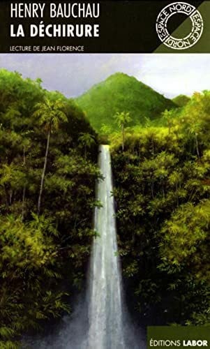 Bauchau, Henry LA DECHIRURE
