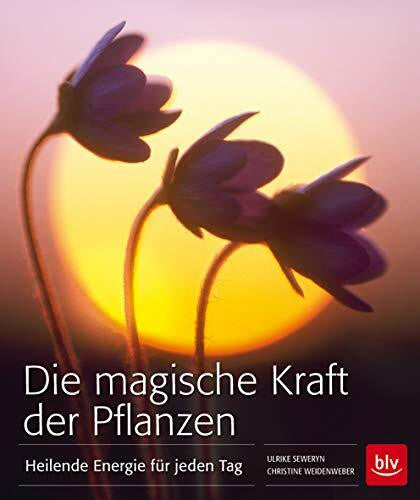 Weidenweber, Christine Die magische Kraft der Pflanzen: Heilende Energie für jeden Tag