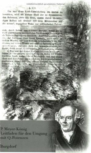 Meyer-König, Peter Leitfaden für den Umgang mit Q-Potenzen