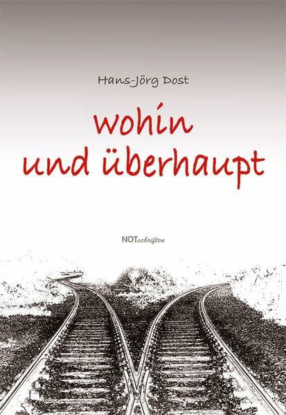 Dost, Hans-Jörg wohin und überhaupt: 77 Episoden aus dem Leben des Heranwachsenden Johannes Leutscher