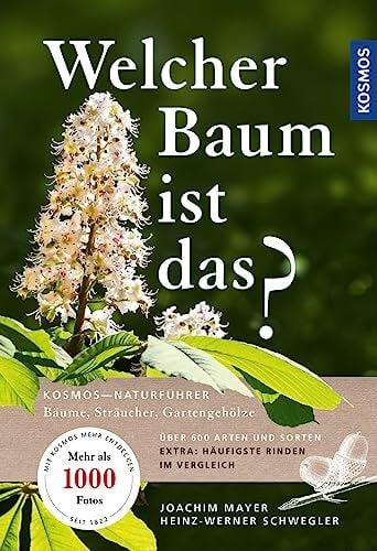 Zauner, G. Welcher Baum ist das?: Bäume, Sträucher, Gartengehölze: Bäume, Sträucher, Ziergehölze