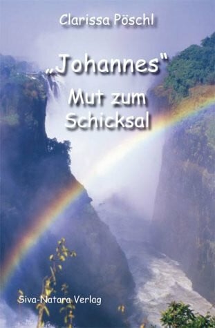 Johannes - Mut zum Schicksal