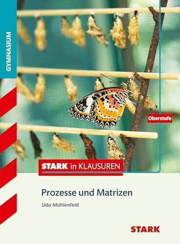 Mühlenfeld, Udo STARK Mathematik Oberstufe - STARK in Klausuren - Prozesse und Matrizen (Training)