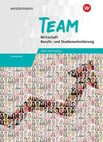 Mattes, Wolfgang TEAM - Arbeitsbuch für Wirtschaft/Berufs- und Studienorientierung an Gymnasien in Baden-Württemberg: Arbeitsbuch 8-10