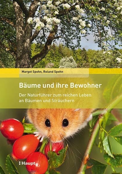Spohn, Margot Bäume und ihre Bewohner: Der Naturführer zum reichen Leben an Bäumen und Sträuchern