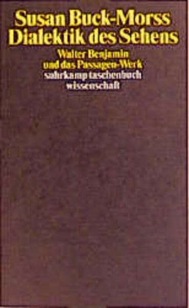 Susan Buck-Morss Dialektik des Sehens: Walter Benjamin und das Passagen-Werk