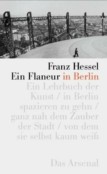 Seidenstücker, Friedrich Ein Flaneur in Berlin: Bilderbuch in Worten. Neuausgabe von 'Spazieren in Berlin' 1929