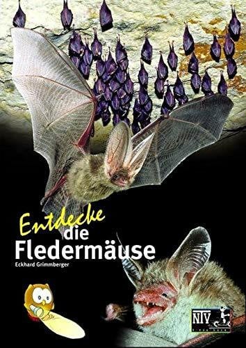 Grimmberger, Eckhard Entdecke die Fledermäuse (Entdecke - Die Reihe mit der Eule: Kindersachbuchreihe)