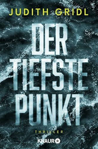 Gridl, Judith Der tiefste Punkt: Thriller | Hochspannender Techno-Thriller mit internationalem Komplott und brisanten Themen