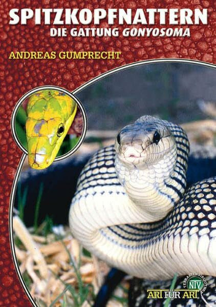 Gumprecht, Andreas Spitzkopfnattern: Die Gattung Gonyosoma (Buchreihe Art für Art Terraristik)