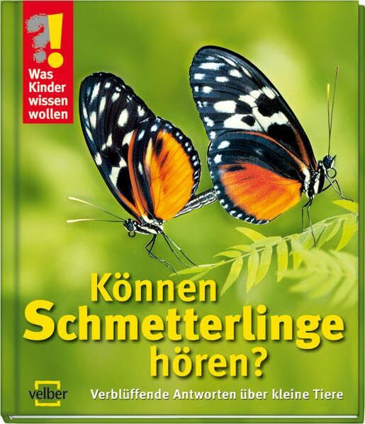 Detlef Kersten Können Schmetterlinge hören?: Verblüffende Antworten über kleine Tiere (Was Kinder wissen wollen)