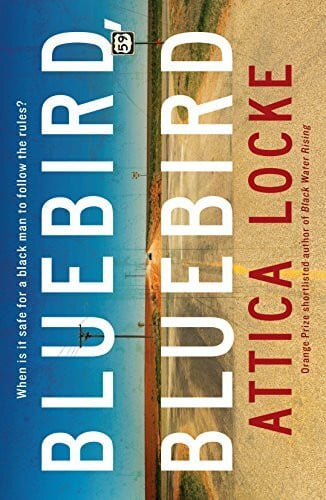 Locke, Attica Bluebird, Bluebird: A gripping American South thriller (Highway 59 by Attica Locke)