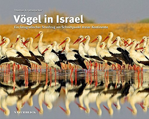 Krumenacker, Thomas Vögel in Israel: Ein fotografischer Streifzug am Schnittpunkt dreier Kontinente
