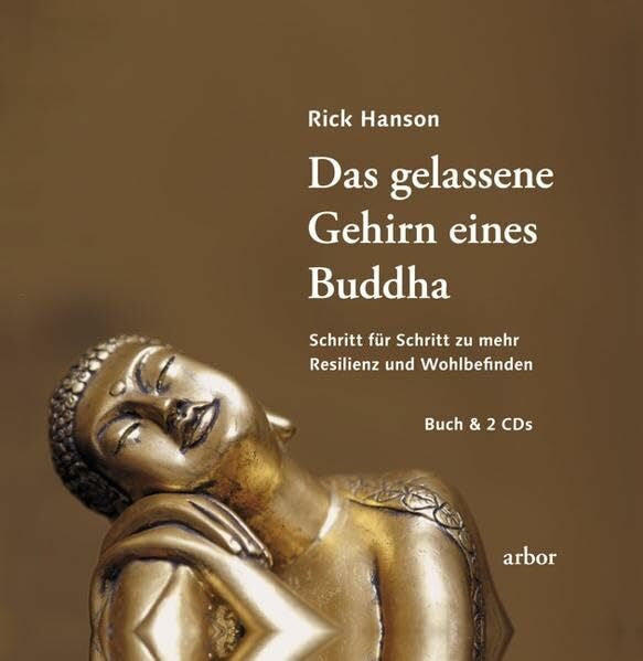 Mike Kauschke Das gelassene Gehirn eines Buddha: Schritt für Schritt zu mehr Resilienz und Wohlbefinden