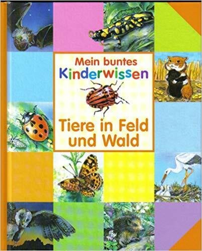 Schwager & Steinlein Verlag GmbH Mein buntes Kinderwissen: Tiere in Feld und Wald